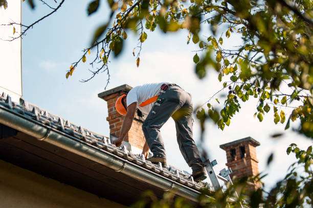 Best Flat Roof Repair Services  in Wheeler, TX